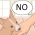 Come impedire a un cucciolo di mordere