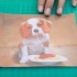 Fare un puzzle