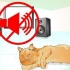 Confortare un gatto morente