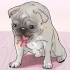 Salvare un cane che soffoca