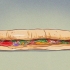 Ordina un panino della metropolitana