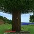 Come creare un cartello in minecraft