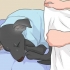 Trattare un cane freddo
