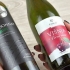 Usare una bottiglia di vino per innaffiare una pianta