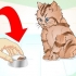 Far mangiare un gattino malato