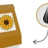 Coltivare un girasole in una pentola