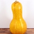 Conservare la zucca in bottiglia