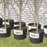 Piantare alberi da frutto