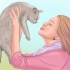 Mostrare affetto a un gatto