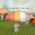 Identificazione dei funghi velenosi