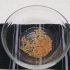 Realizzazione di gel per capelli a base di semi di lino
