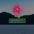 Reimpostazione della password dell'amministratore su mac os x