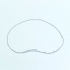 Disegnare il cervello