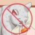 Tenere fuori i gatti