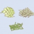 Infusori in crescita