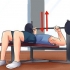 Rafforza la parte superiore del corpo