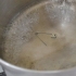 Forare l'orecchio con una spilla da balia
