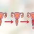 Determina il giorno più fertile per rimanere incinta
