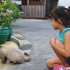 Accarezzare i gatti nei posti giusti