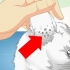 Controllare i gatti per gli acari dell'orecchio