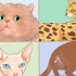 Riconosci le razze di gatti