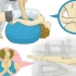 Scegliere tra yoga e pilates