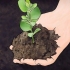 Miglioramento del terreno argilloso