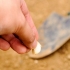 Aglio essiccato