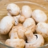 Cucinare con i funghi