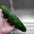 Fare l'acqua di cetriolo