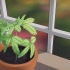 Herb-non .mescolare-