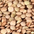 Preparare le lenticchie