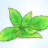 Menta in crescita in una pentola