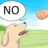 Dì di no al tuo cane