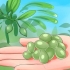 Olive in scatola