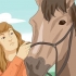 Equitazione