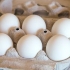 Colora le uova di pasqua