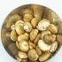 Conservazione dei funghi