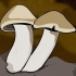 Funghi in crescita