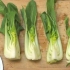 Preparare il pak choi