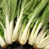 Affettare il pak choi
