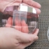Applicare il profumo