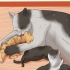 Regalare gattini appena nati