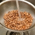 Preparare i fagioli borlotti