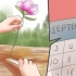 Condivisione e trapianto di peonie