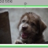 Riduci le presentazioni di powerpoint