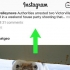 Pubblica o elimina commenti sulle foto di instagram