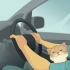 In viaggio con un gatto