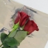 Mantenere le rose fresche