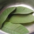 Fare le foglie di scheletro